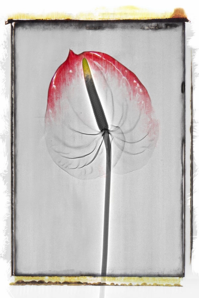Photograph Arvind Sawant In - Visible - Iii on One Eyeland